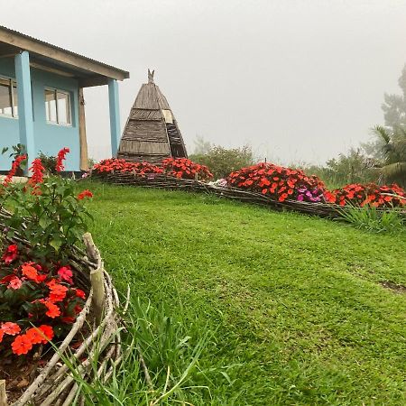Au Coeur De La Cascade Biberon Bed & Breakfast La Plaine-des-Palmistes Dış mekan fotoğraf