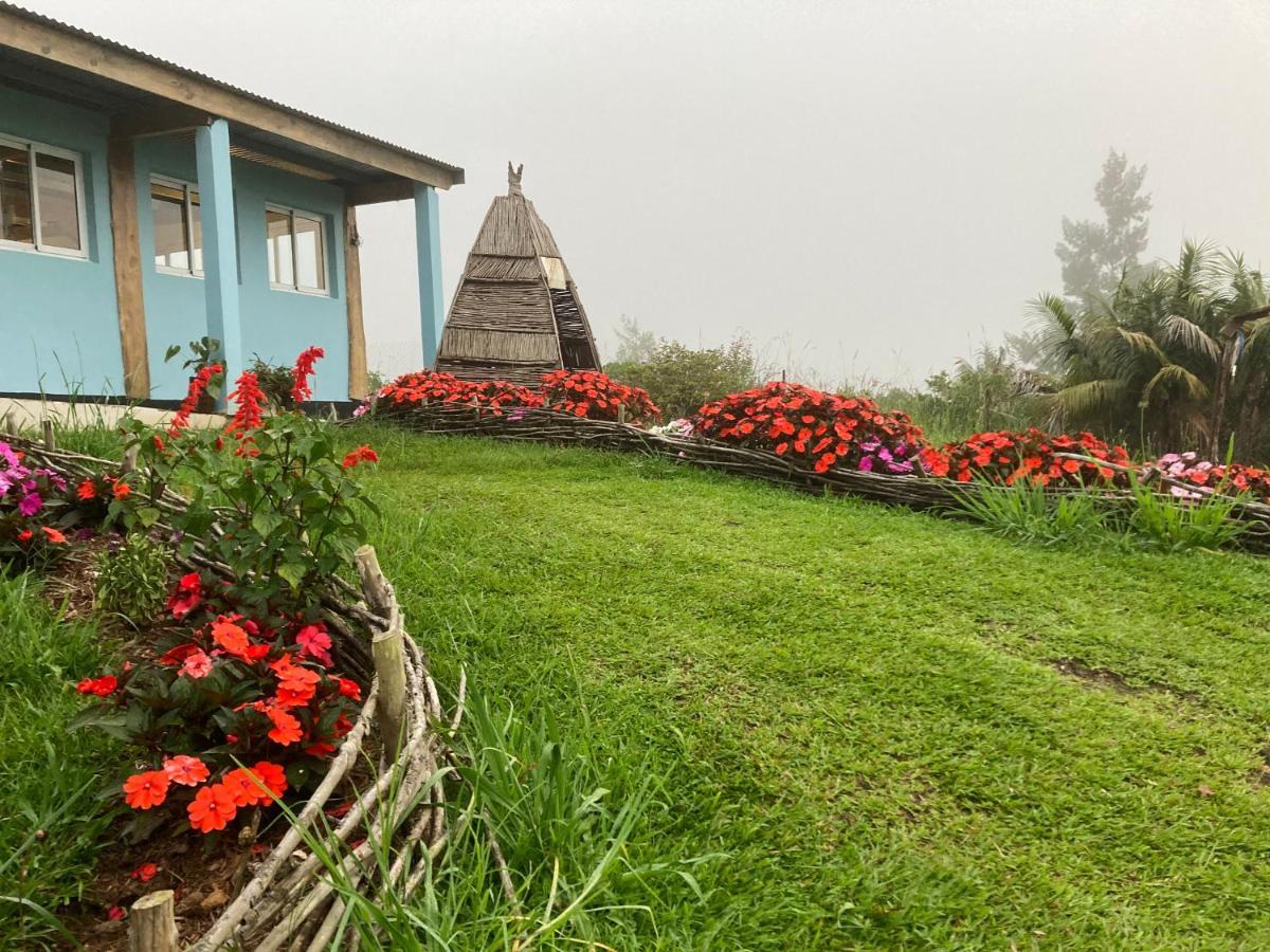 Au Coeur De La Cascade Biberon Bed & Breakfast La Plaine-des-Palmistes Dış mekan fotoğraf